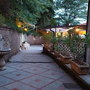La Contessa B&B